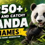 panda names
